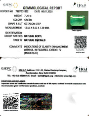 7.25/CT Natural Panna Stone with Govt. Lab Certificate-12210